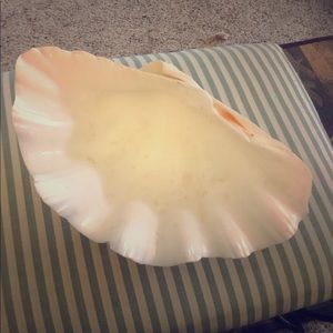 Seashell